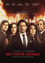 Bir Ömür Yetmez poster