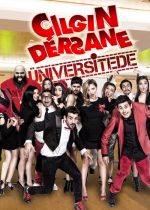 Çılgın Dersane Üniversitede poster