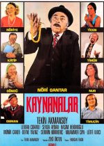 Kaynanalar poster