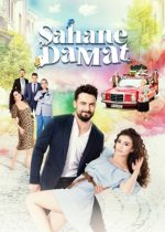 Şahane Damat poster