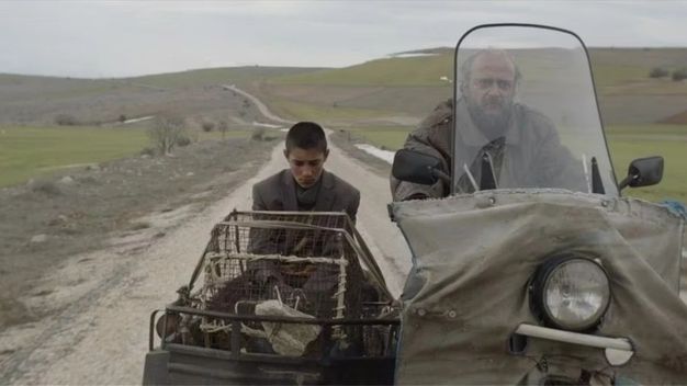 Çobanlık Yaparken Keşfedilen Alpay Kaya Tavşan İmparatorluğu Filminin Başrolü Oldu!