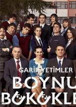 Boynu Bükükler