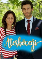 atesbocegi