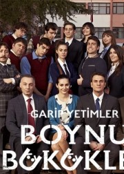 boynu-bukukler