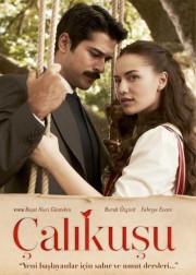 calikusu