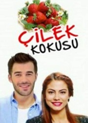 cilek-kokusu