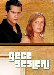 Gece Sesleri