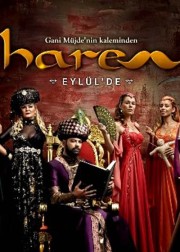 harem
