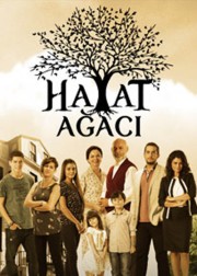 hayat-agaci