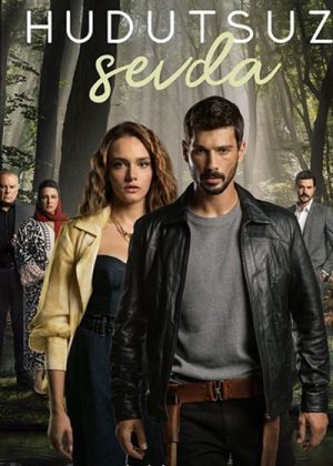 Hudutsuz Sevda poster