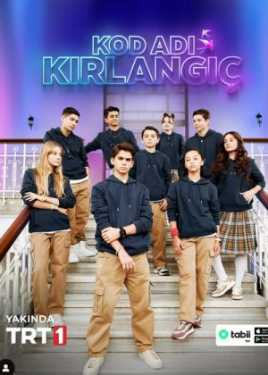 Kod Adı Kırlangıç poster
