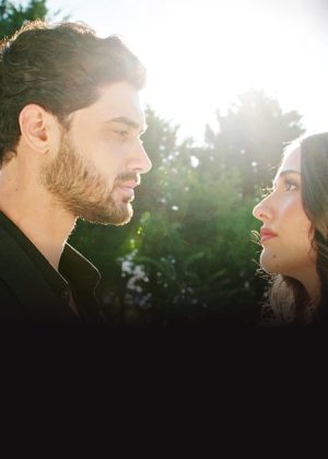 Menekşe poster