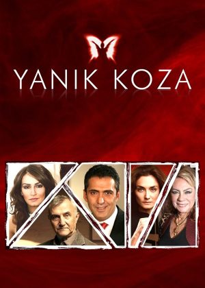Yanık Koza poster